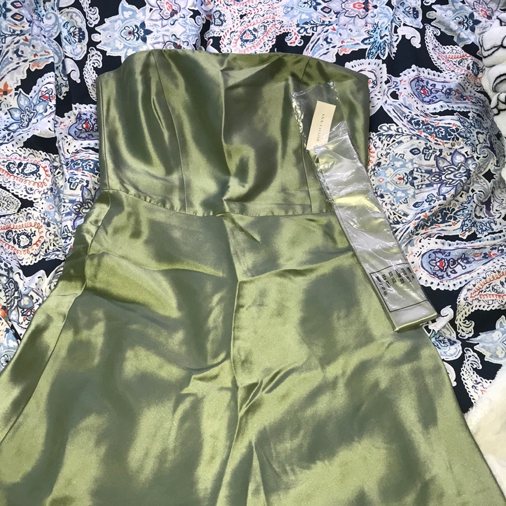 ANN TAYLOR dress